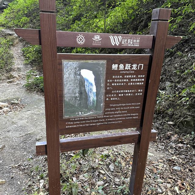 電影夢幻場景 - 天生三橋