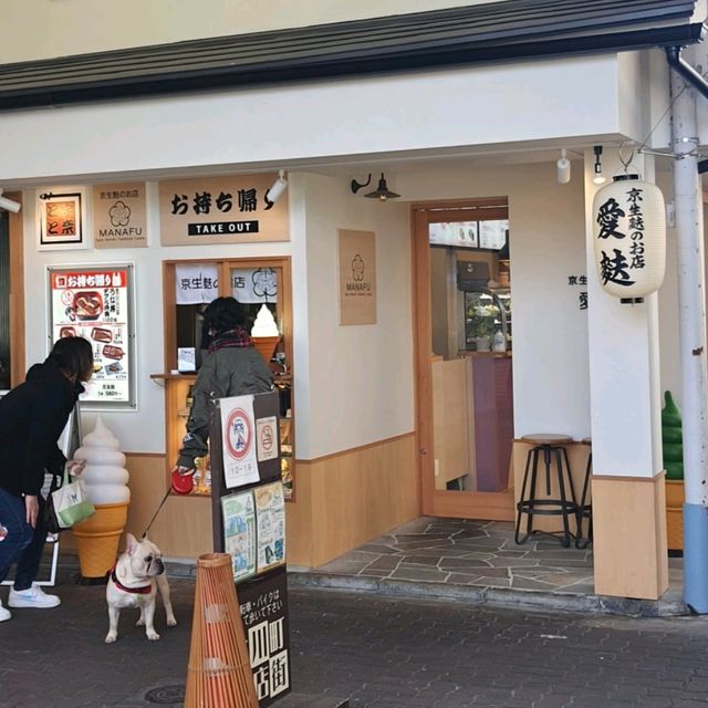 京都老街散步，掛滿彩虹燈籠的商店街