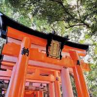 Japan | Kyoto 1 Day trip