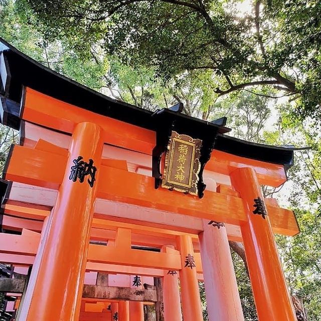 Japan | Kyoto 1 Day trip