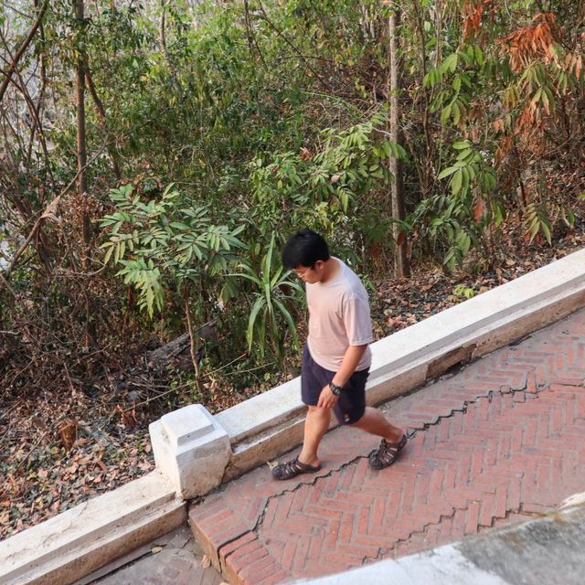 ชมวิวหลวงพระบางแบบ360องศา ณ วัดพระธาตุพูสี 