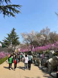 말그대로 꽃동산 그 자체💕