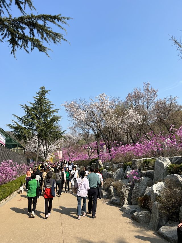 말그대로 꽃동산 그 자체💕