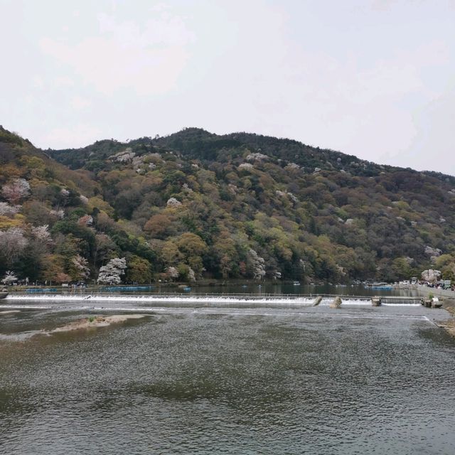 beautiful Arashiyama