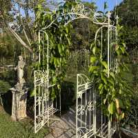 CANARY FARM 