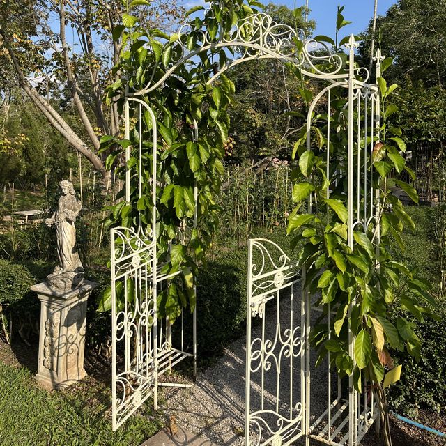 CANARY FARM 