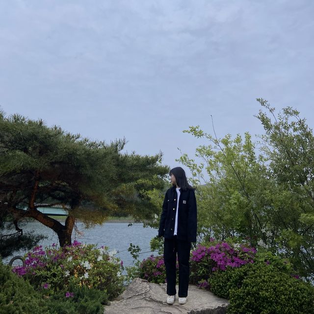 대전 근교, 금산 부모님과 꽃구경 하늘물빛정원