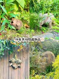 ⭐️灣仔峽隱世童話小屋～仲有小食部補給🍢