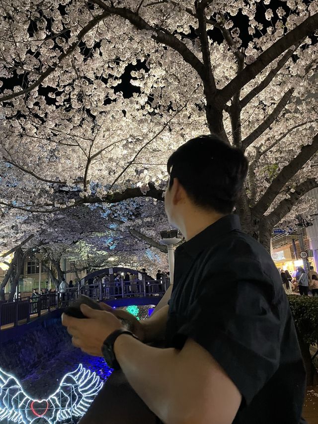 진해 벚꽃 스팟 찍어서 가보자🌸
