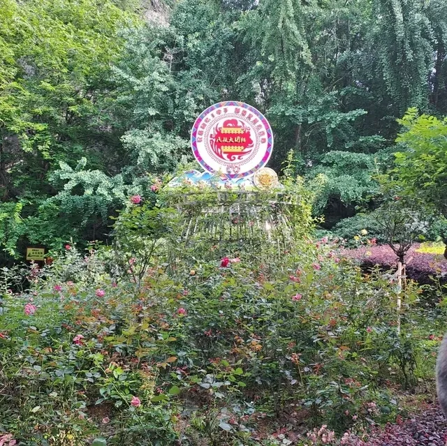 虞山公園的個人體驗感受