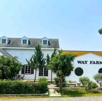 Way Farm Cafe & Restaurant  สไตล์ยุโรป
