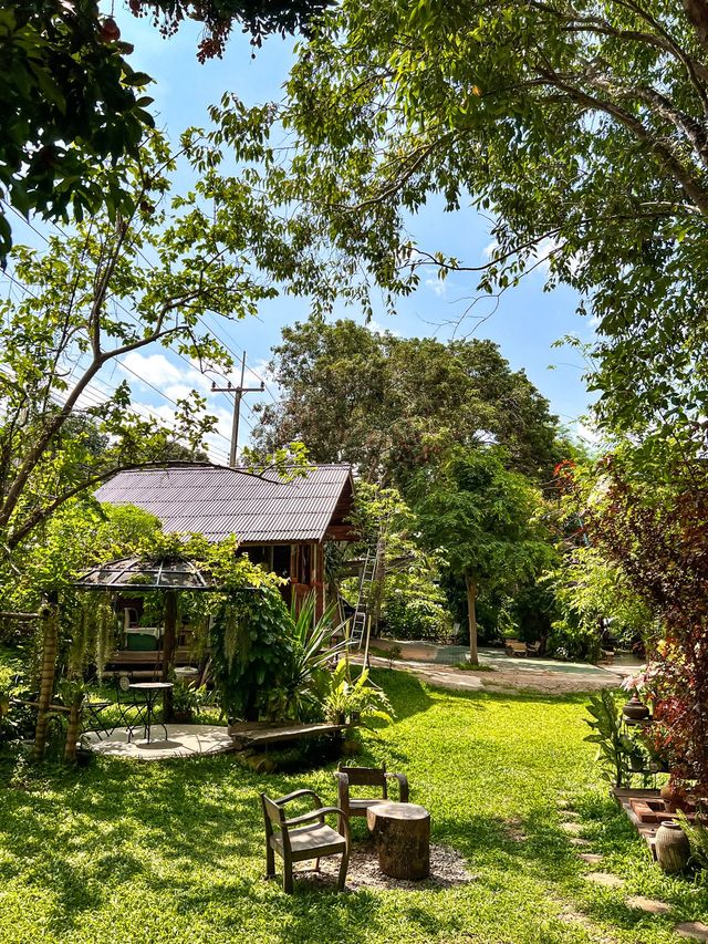 Pema cafe 🏠☕️🌳