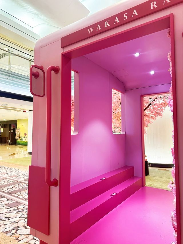 ⭐️原來係最後一日😱黃埔「5月限定櫻花🌸の旅」