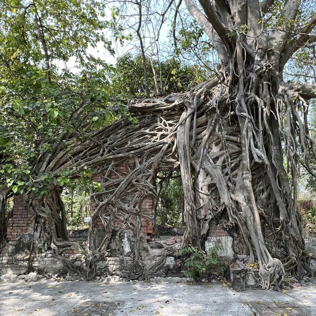 ประตูกาลเวลา วัดเลขธรรมกิตติ์ นครนายก