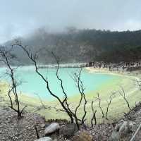 Mesmerizing Beauty at Kawah Putih, Bandung