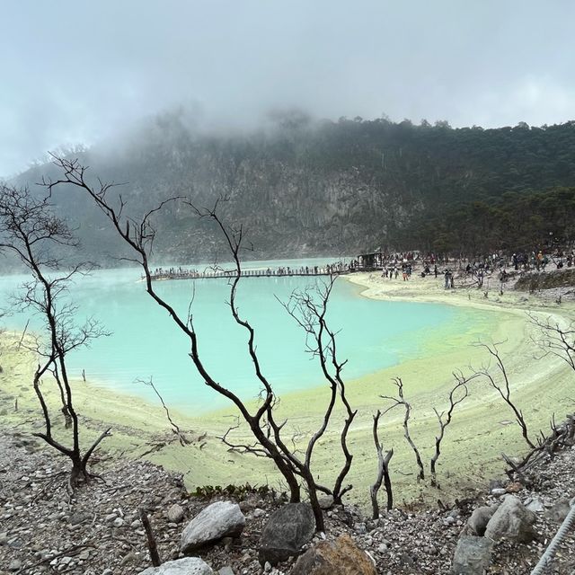 Mesmerizing Beauty at Kawah Putih, Bandung