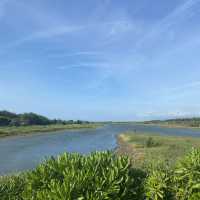 ✨許厝港濕地✨