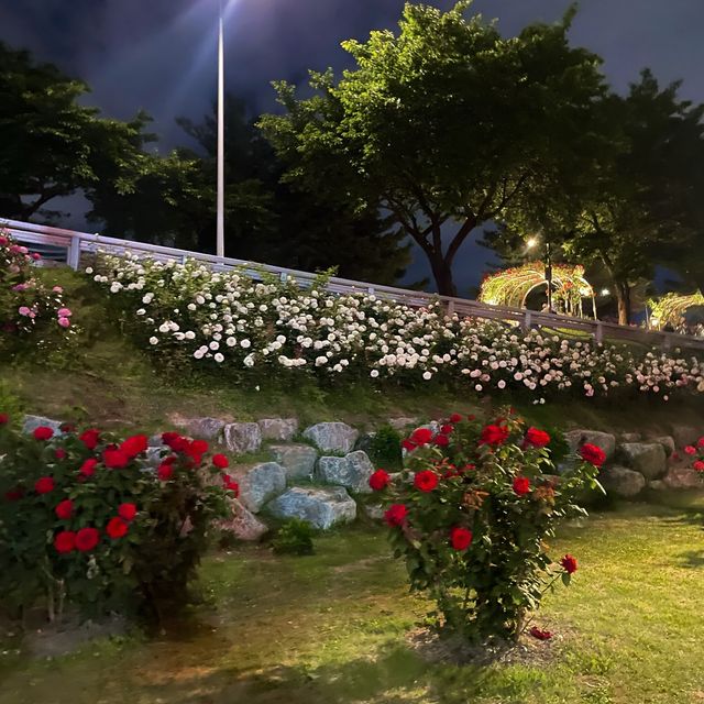 백만송이의 장미를 볼 수 있는 곳 “서울장미길”🥀