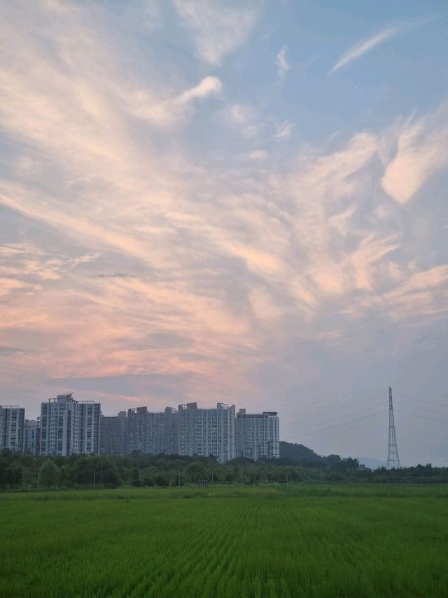 노을이 멋진 거대한 생태공원