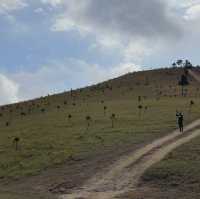 Phuong Hoang Hills