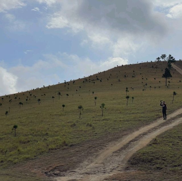 Phuong Hoang Hills