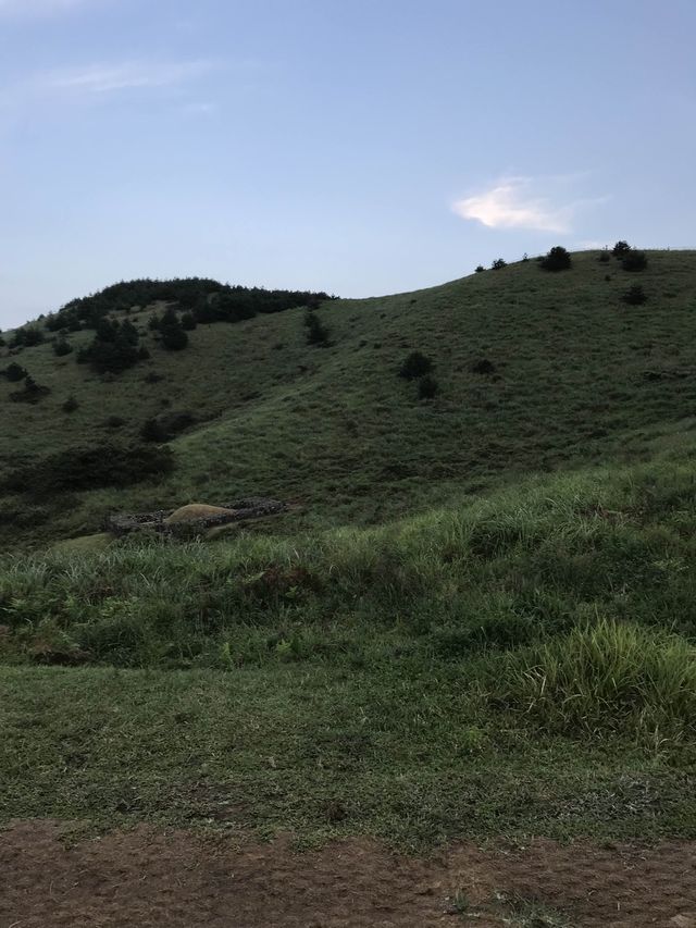 제주도 오름추천 용눈이오름🍀💚