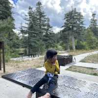 Bond with nature at Sandia Mountain