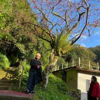 五重溪瀑布到福山部落 烏來走春