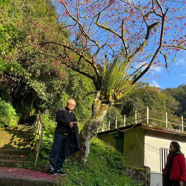 五重溪瀑布到福山部落 烏來走春