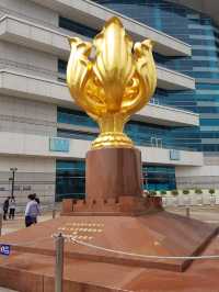 Golden Bauhinia Square 🌷✨