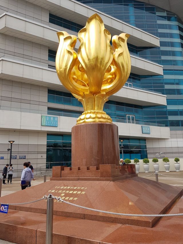 Golden Bauhinia Square 🌷✨ Golden Bauhinia Square 🌷✨