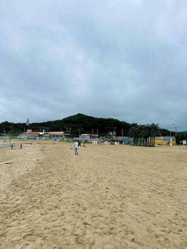 이색체험 즐기기 좋은 양양 서핑 마린서프👍
