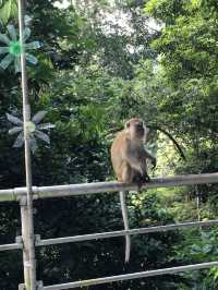 A healthy hiking trip in Penang