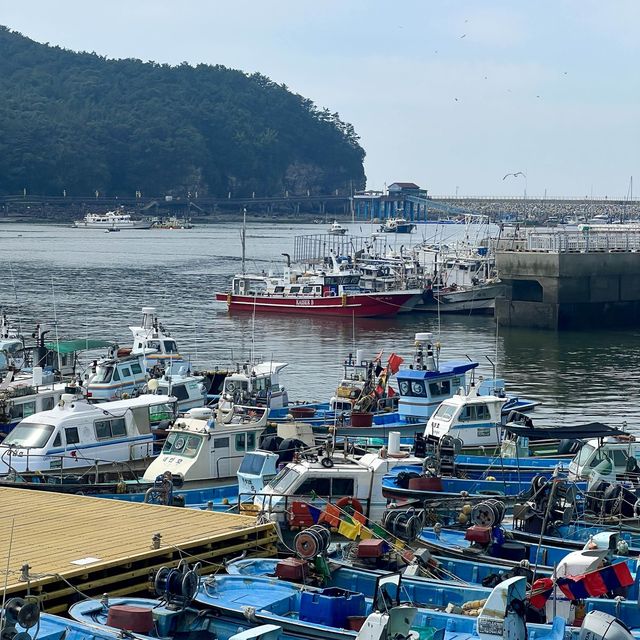 국내여행 인생샷 명소 변산반도 ‘채석강 해식동굴’
