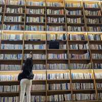 Instaworthy Starfield Library