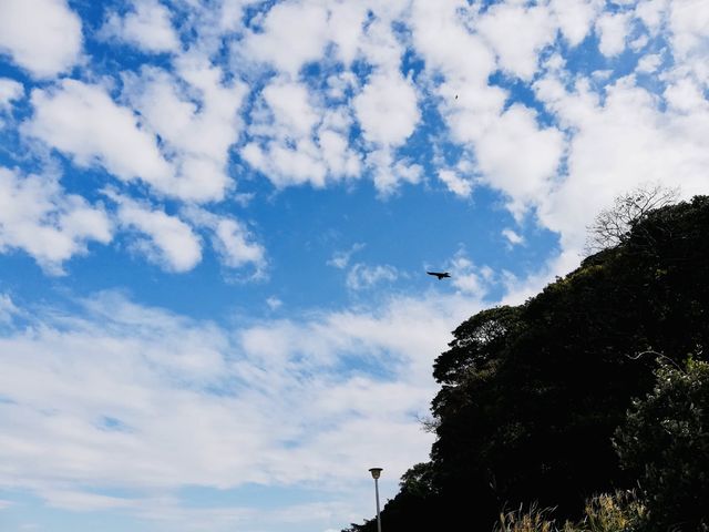 Kannonzaki Park in Yokosuka