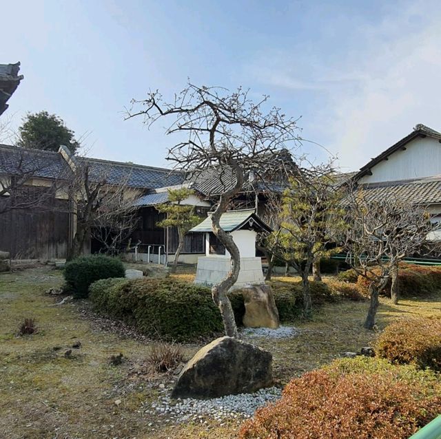 十五世紀織田信長所創建的佛寺【西光寺】