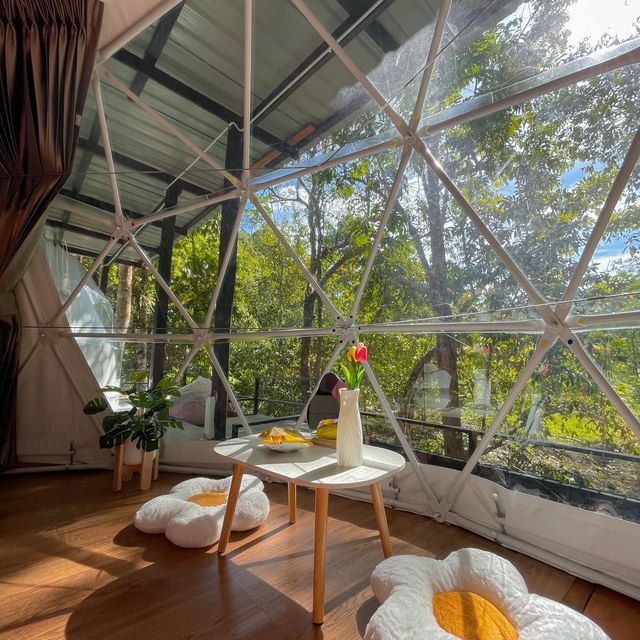 🌳ที่พัก วังสายทอง จ.สตูล 🌳