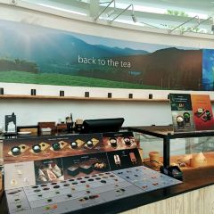 Peace 和 Oriental Teahouse (King Power Rang Nam) User Photo