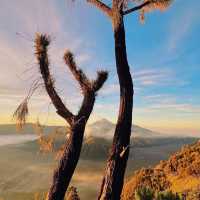 Mount Bromo