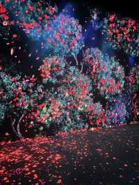 假日好去處  ︳沉浸式感官體驗