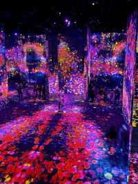 澳門 Teamlab 初體驗