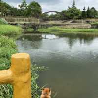 牛欄河步道 🐕 在關西