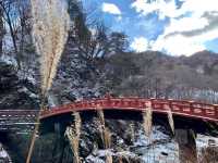  นิกโก (Nikko 日光市)  เมืองมรดกโลก