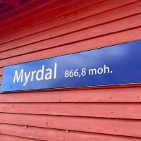 Myrdal Train Station - Myrdal, Norway