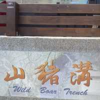 ✨山豬溝生態步道✨