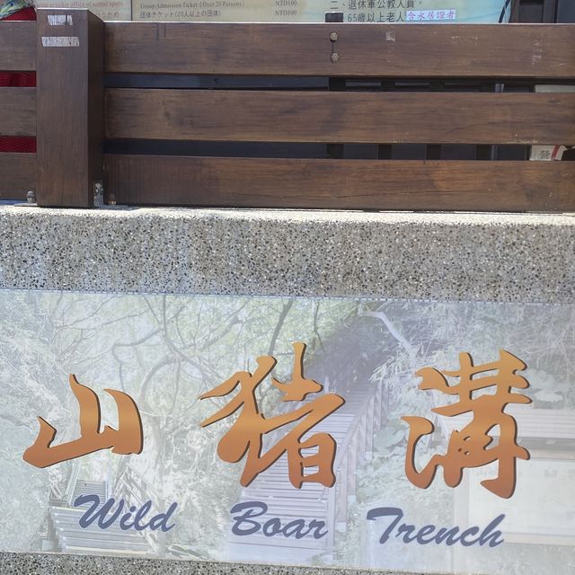 ✨山豬溝生態步道✨