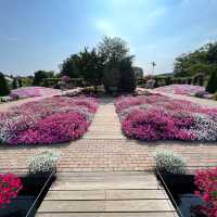 Beautiful Ashikaga flower park