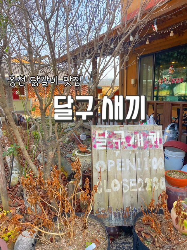홍천 닭갈비 맛집 ‘달구새끼’