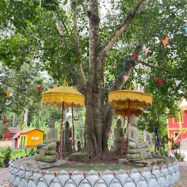 Whispers of Wisdom: Pagoda and School